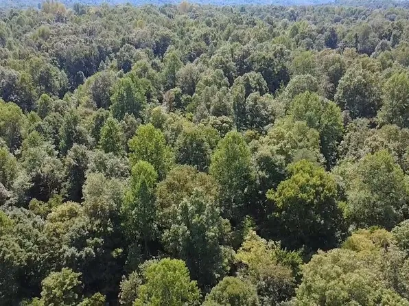 Fuller Harding Rd, Campbellsville, KY 42718