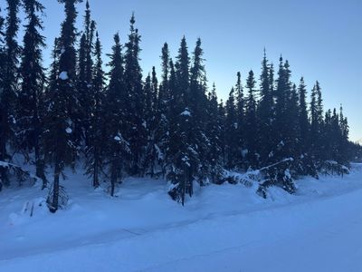 Nhn Chena Ester Ditch Rd, Fairbanks, AK, 99709