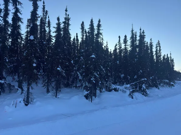 Nhn Chena Ester Ditch Rd, Fairbanks, AK 99709