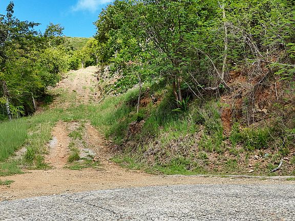 3rd image of O'Fish Bay