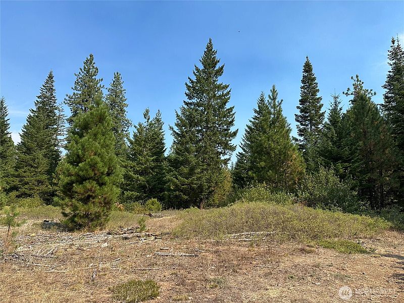 3rd image of 2 Cedar Monument Road