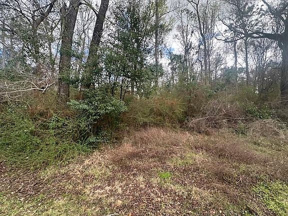 2nd image of 0 Jessie Rd