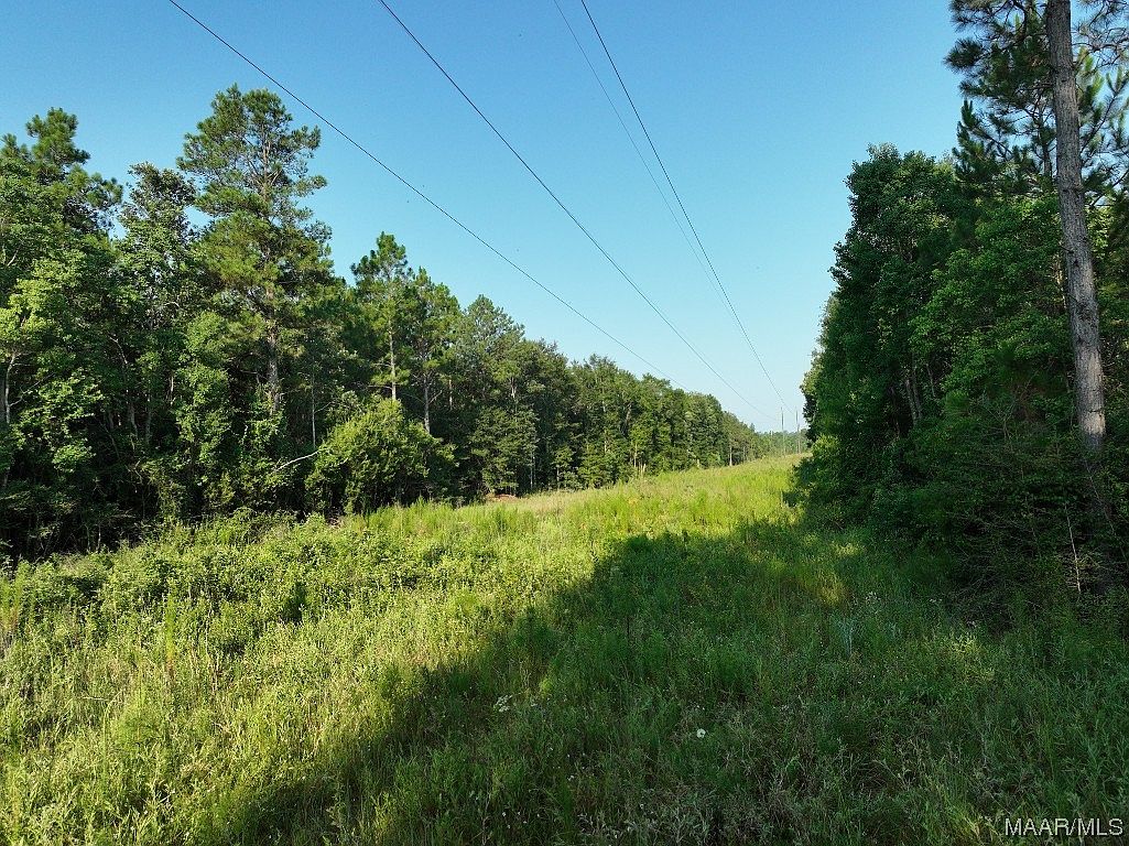 39 McPhail Farm Rd, Florala, AL 36442 MLS 543780 Zillow