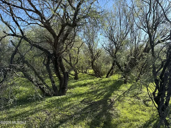 Apn 209 #40-64-19, Tucson, AZ 85735