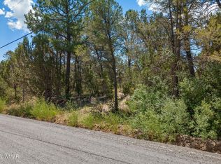3127 Ranch Rd, Overgaard, AZ 85933