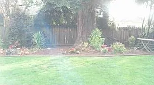 2916 Ramona St — Photo 38