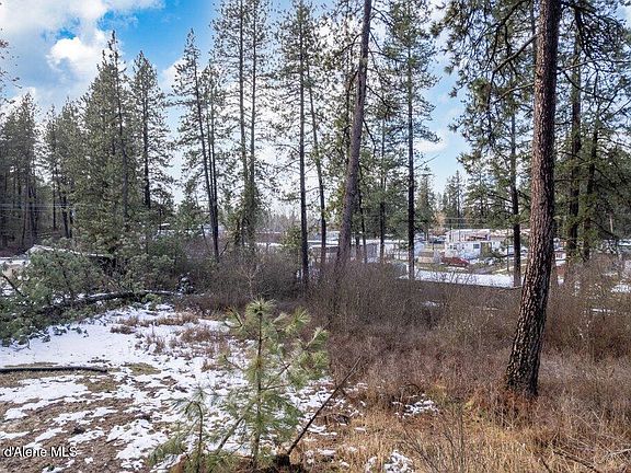 5th image of 293 F St