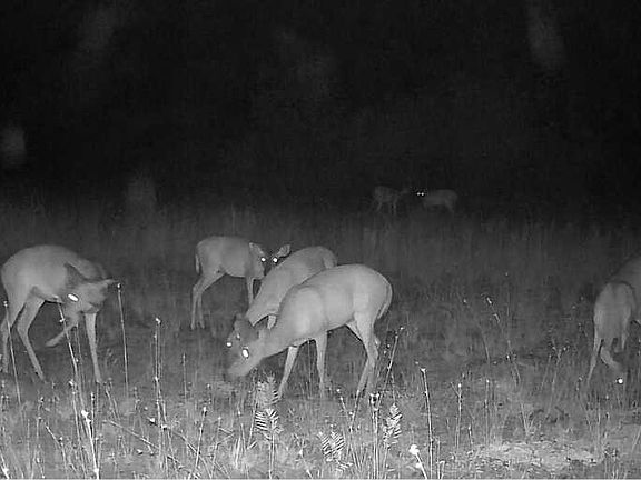 3rd image of 0 Smith Rd