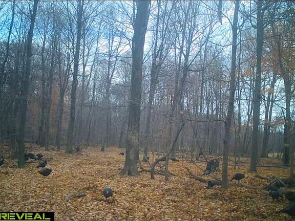 5th image of 51133 Creglow Rd