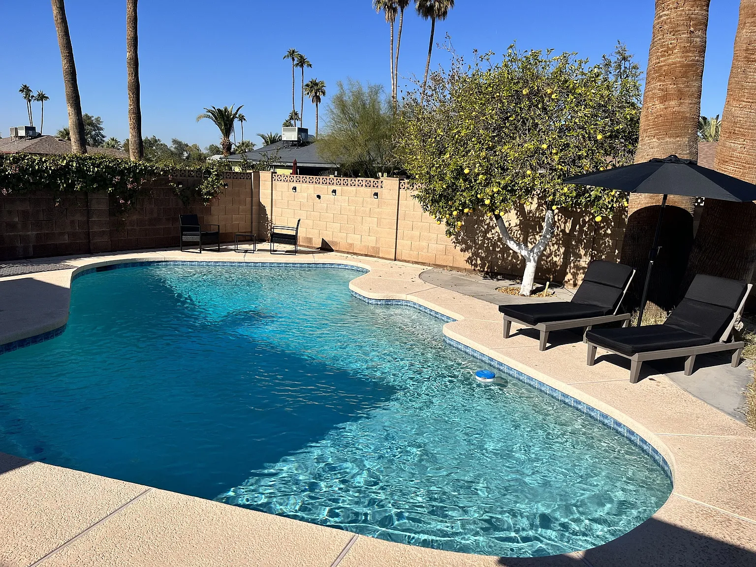 E Balboa Dr, Tempe — Photo 1