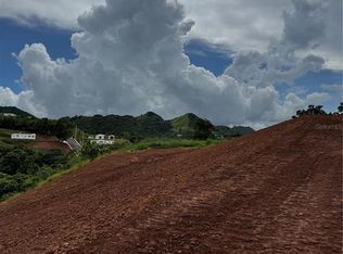 Carr 155 Km 31.2 Int Bo Barros Lote #2, Orocovis, PR 00720