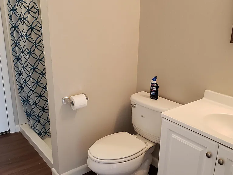 241 Willow Turn — Photo 6
