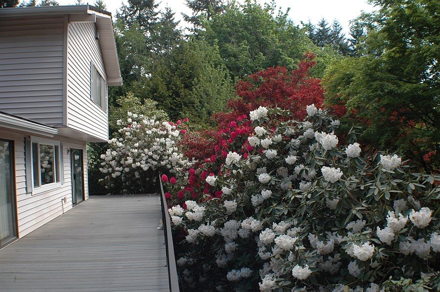 2nd image of 10442 SE Eastmont Dr