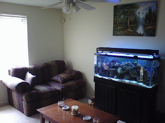 This is the upstairs sitting room~