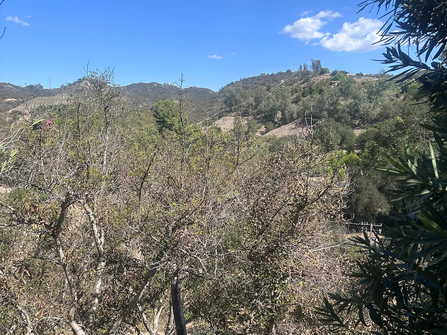 Daily Rd, Fallbrook — Photo 3