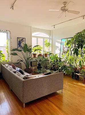 Rented by Dream Space Realty | media 7