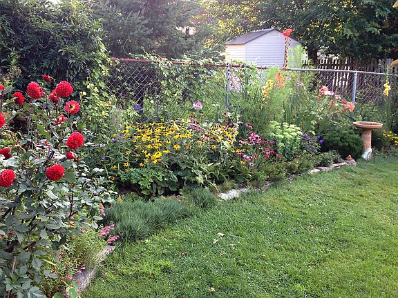 Flower bed in backyard