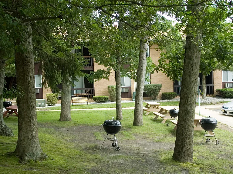 Picnic area with BBQs