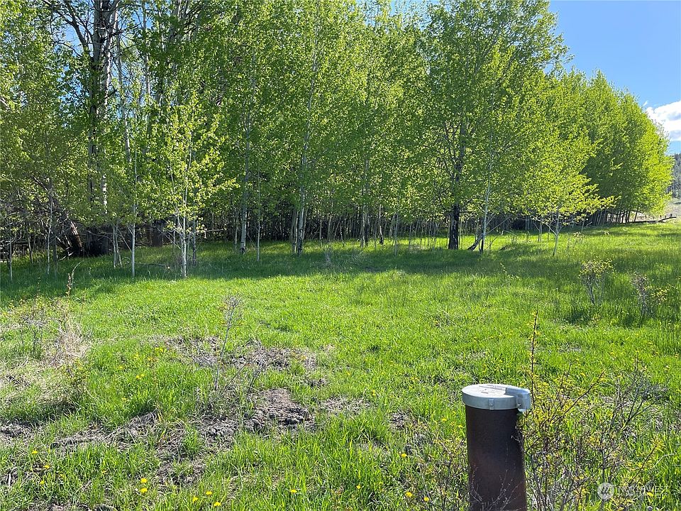 111 Fritz Road, Riverside, WA 98849 MLS 2067009 Zillow