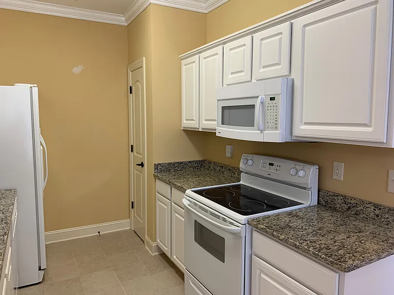 101 Ella Kinley Cir #401 — Photo 5