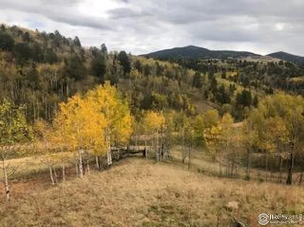499 Granite Ln, Cripple Creek, CO 80813