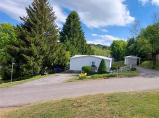 46 Larkspur Ln, Canton, NC 28716
