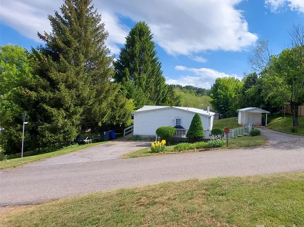 46 Larkspur Ln, Canton, NC 28716
