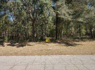 666 E Anton Dr, Citrus Springs, FL 34434