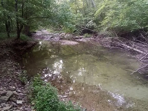 1666 Pointer Creek Rd, Science Hill, KY 42553
