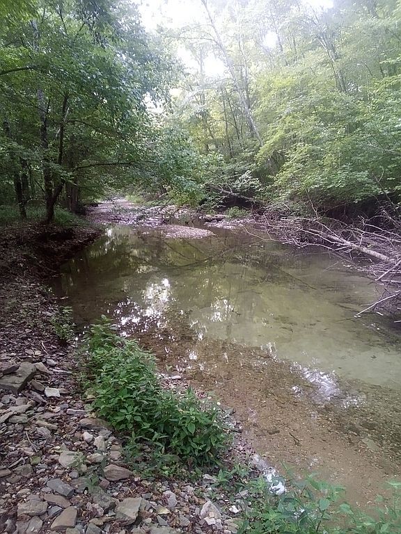 1666 Pointer Creek Rd - Property Image
