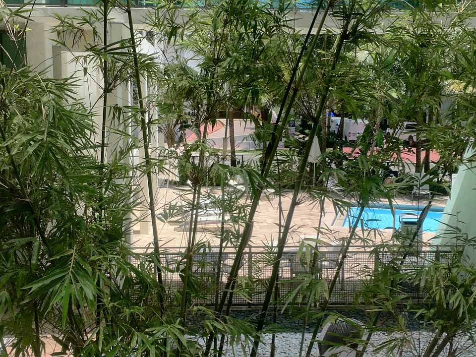 1st image of 6000 Collins Ave APT 132