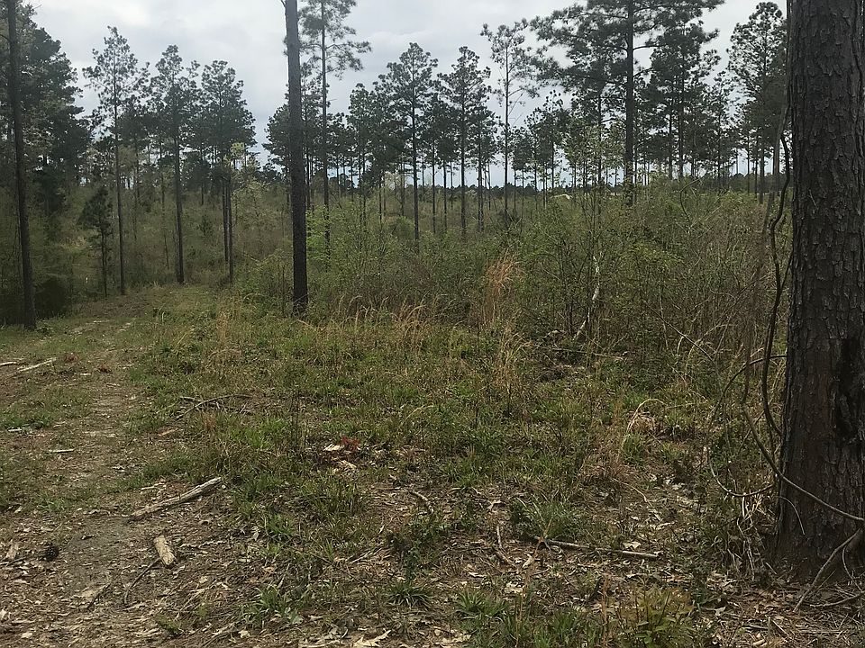 2nd image of Posey Rd