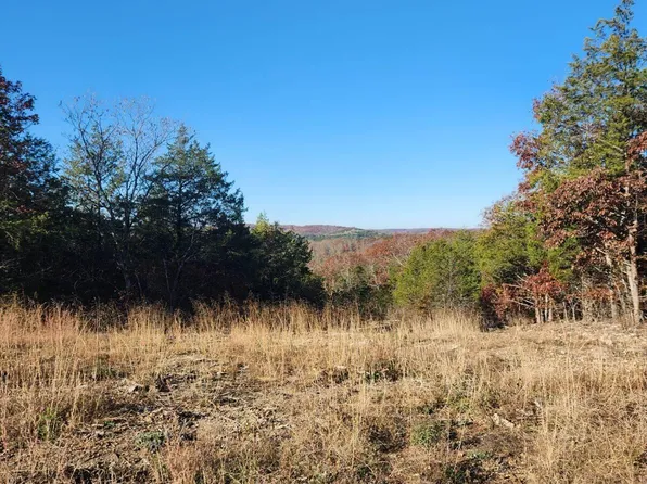 000a State Highway 125, Chadwick, MO 65629