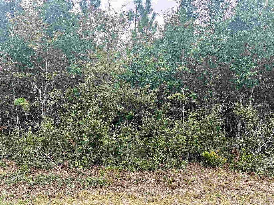 2nd image of LOT 11 Pineview Church Rd