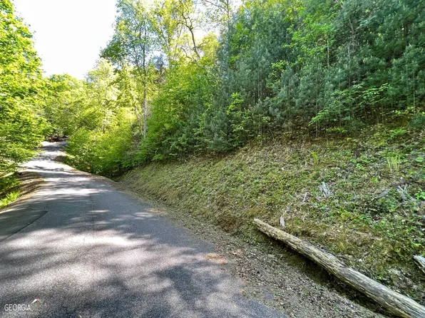 44 Walker Ridge Way, Mineral Bluff, GA 30559