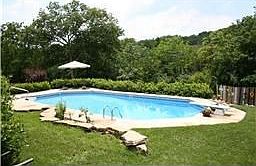 PARADISE! 20x40 Grecian style pool with diving board