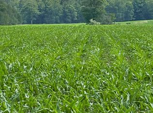 W Nicholson Hill Rd, Hubbard Lake, MI 49747