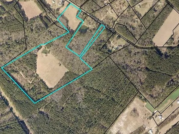 3220 Little Mccall Road, Rincon, GA 31326