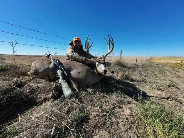 State Highway 141, Lagrange, WY 82221