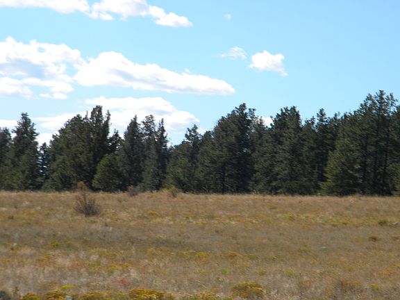 3rd image of Tbd Wagon Trail