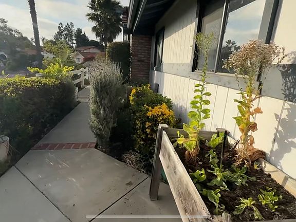Front garden