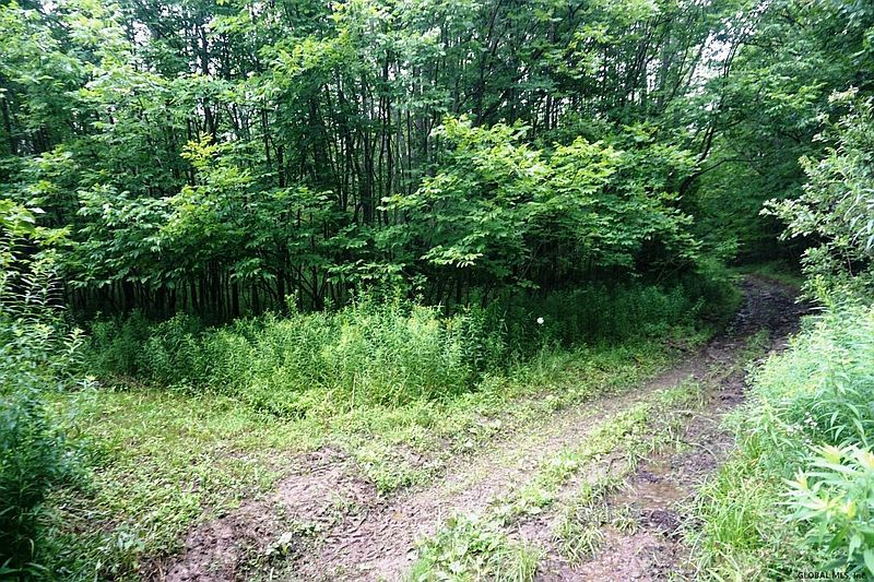 5th image of HAWKINS Road