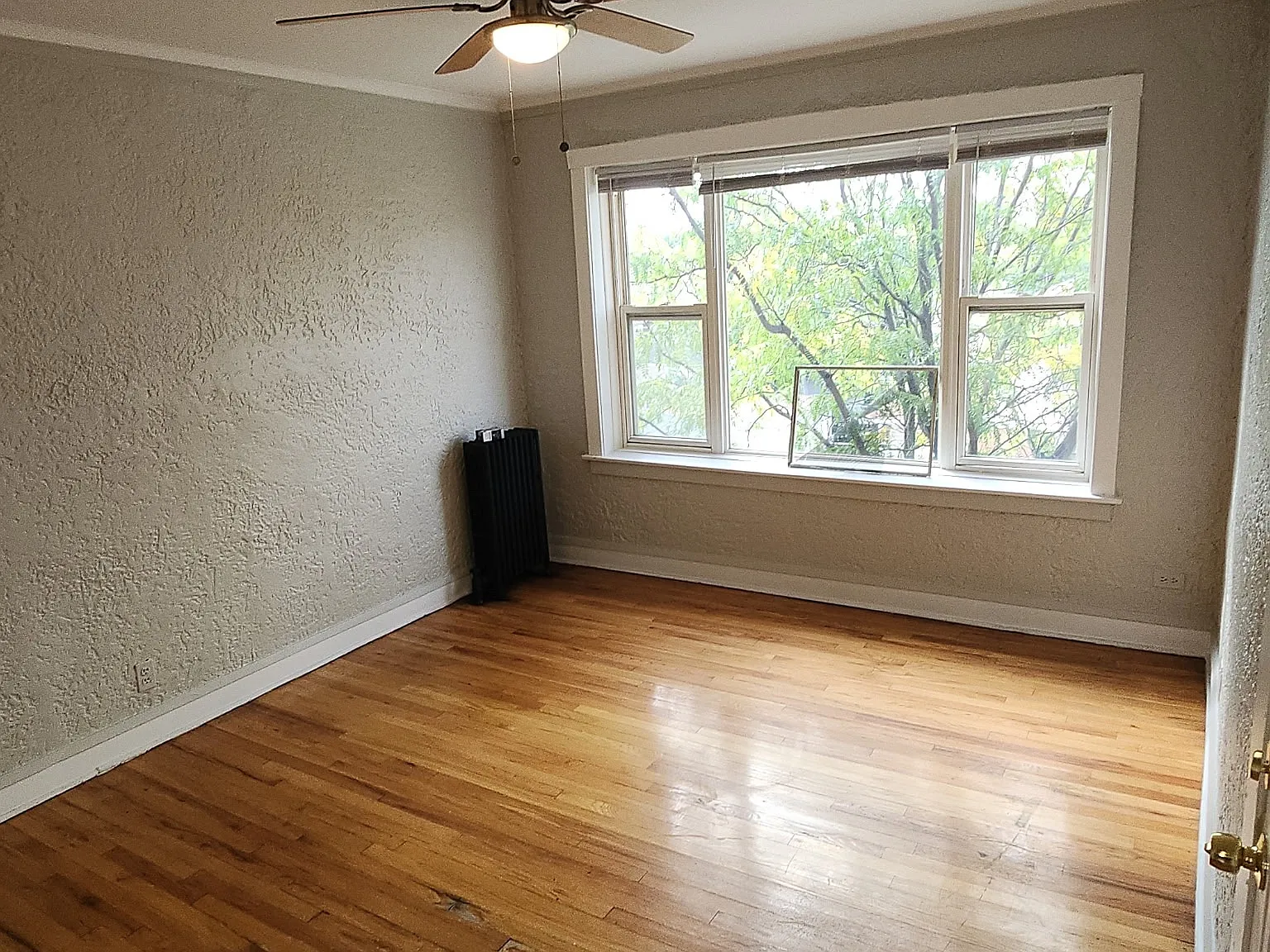 1 bed, $1,100 — Photo 2