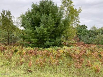 Loop Rd, Shelby, MI, 49455