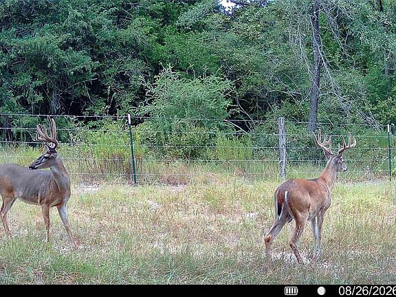 5th image of Jackrabbit Ln