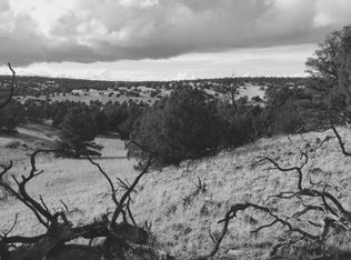 40 Bridle Path, Quemado, NM 87829