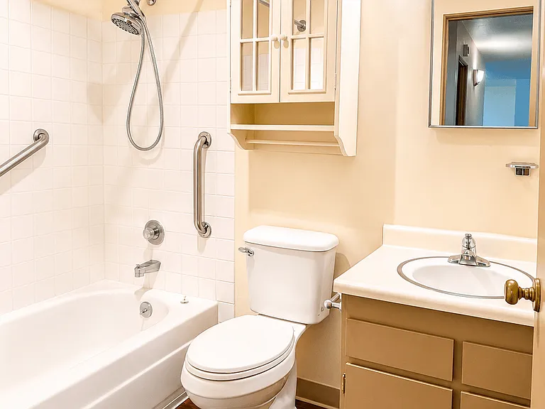 Grab Bars