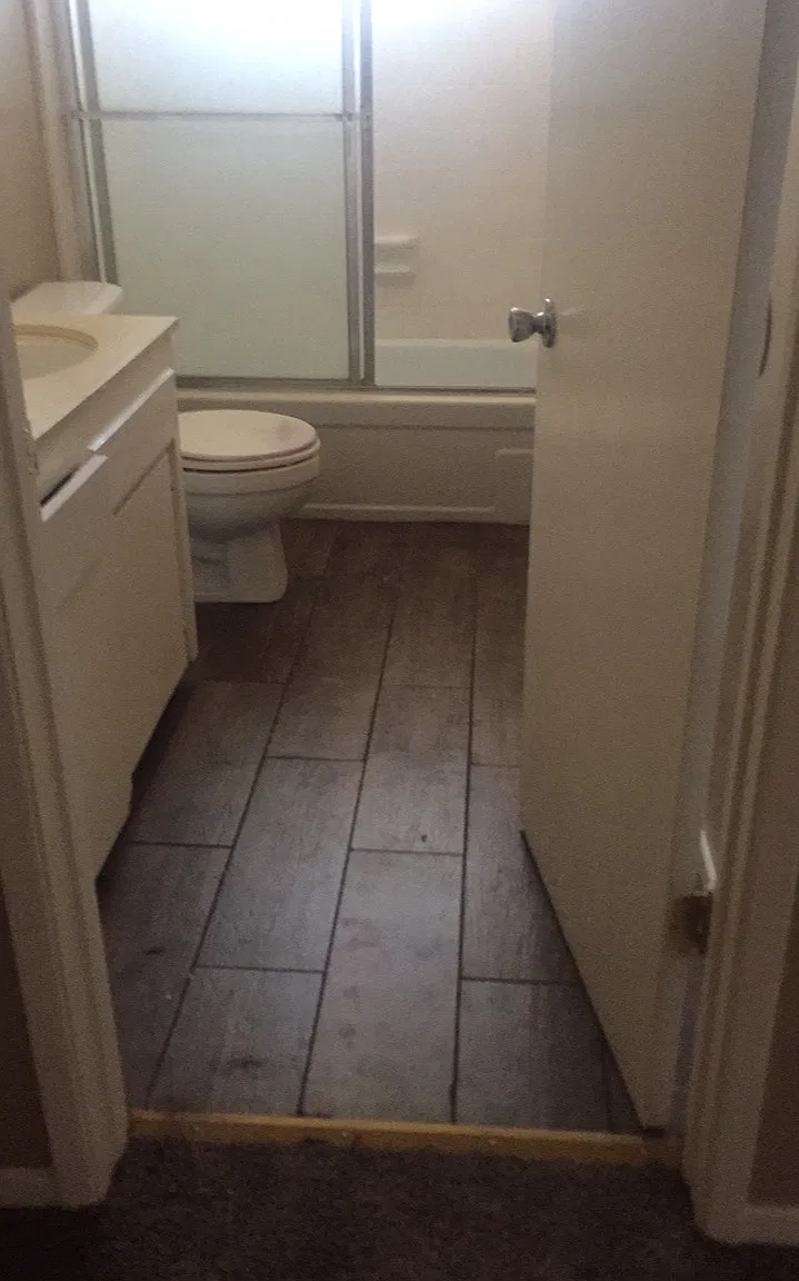1 bed, $1,100 — Photo 3