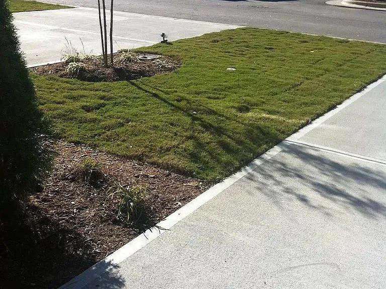 711 McRae Rd — Photo 6