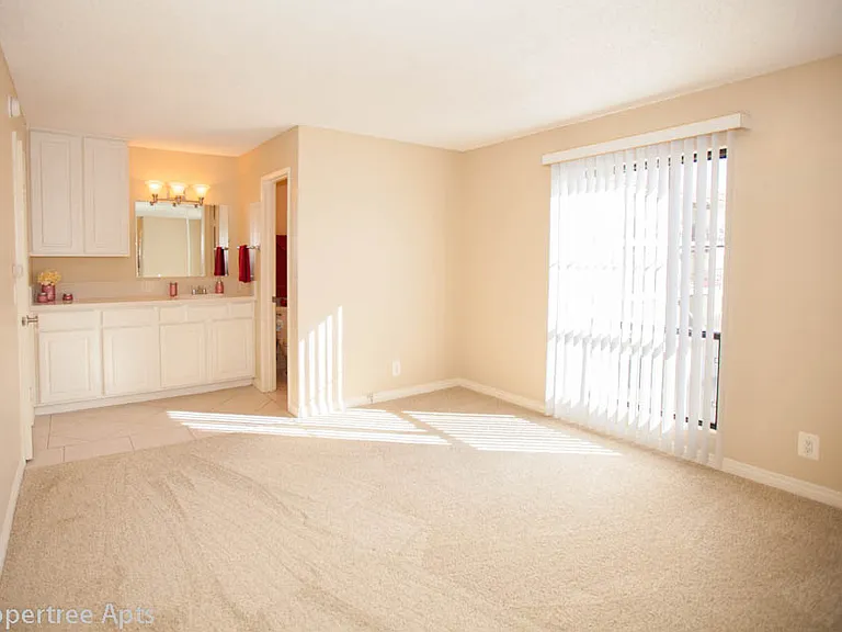 Peppertree Apartments — Photo 10